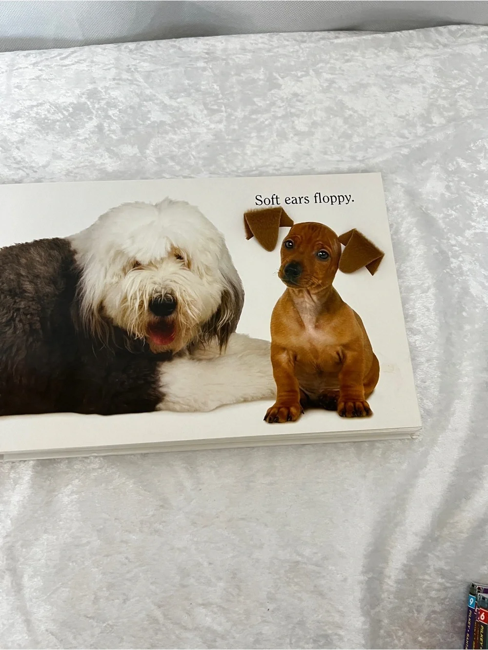 Dog Book by Matthew Van Fleet Doggone Fun for Little Ones kids